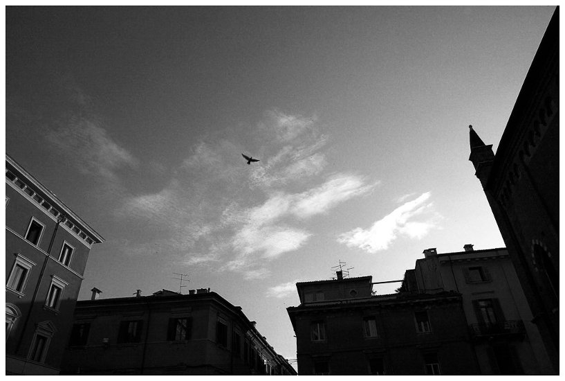 Straßenszene Verona mit Taube